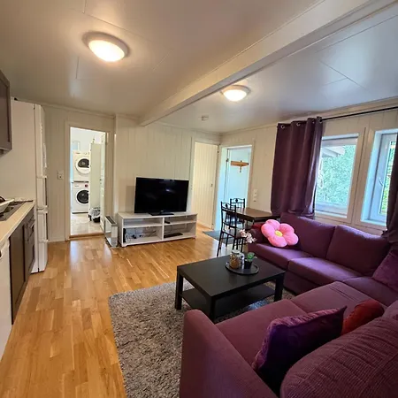Cozy Family House In Vagsbygd Med Mulighet For Elbillading